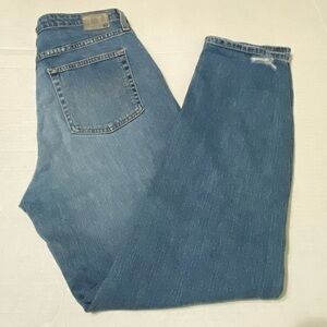 Vintage AG Adriano Goldschmied The Phoebe Size 31